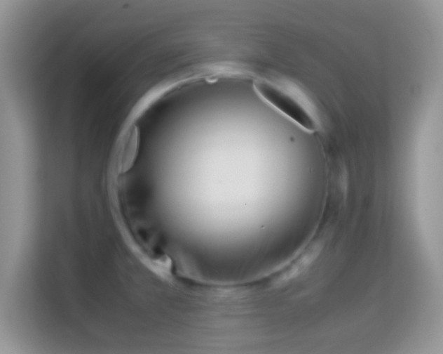 X0000113991381200910091329