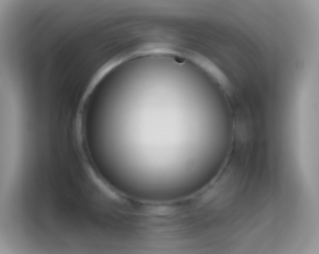 X0000113991382200910091329