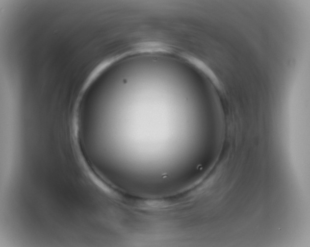 X0000113991383200910091329