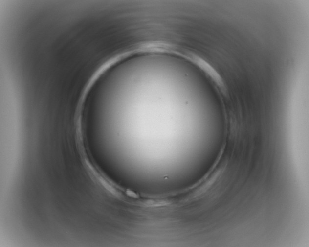 X0000113991384200910091329