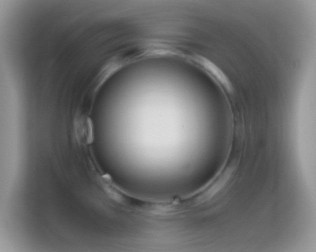 X0000113991385200910091329