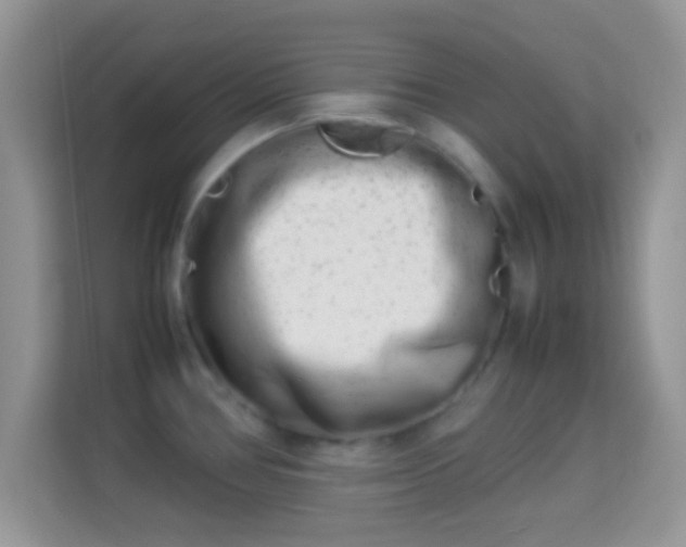 X0000113991386200910091329