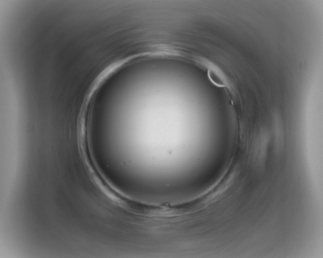 X0000113991387200910091329