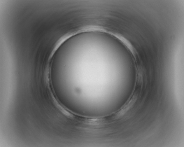 X0000113991390200910091329