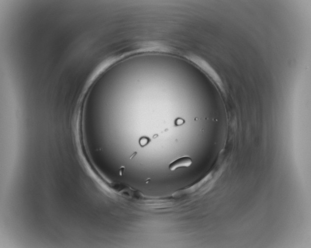 X0000113991391200910091329