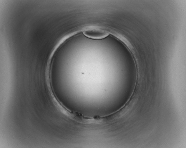 X0000113991392200910091329