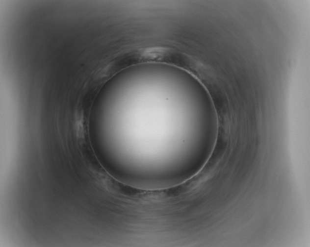 X0000113991394200910091329