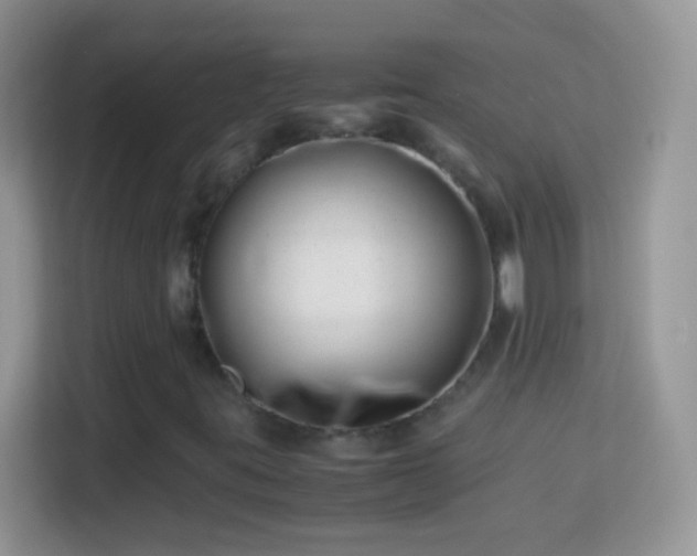 X0000113991395200910091329