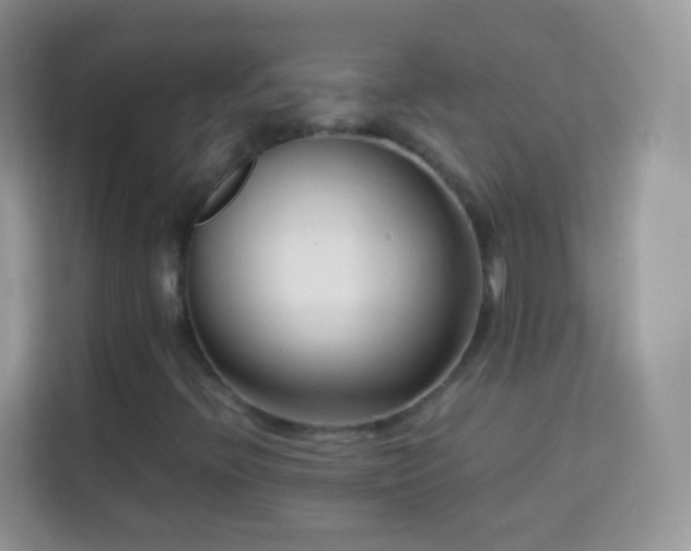 X0000113991396200910091329