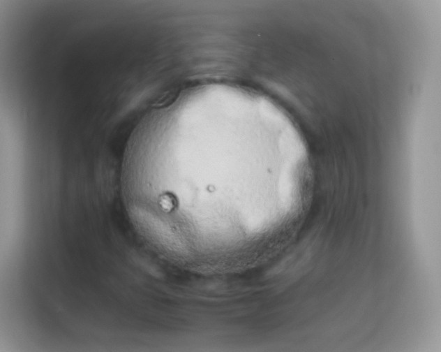 X0000113991399200910091329