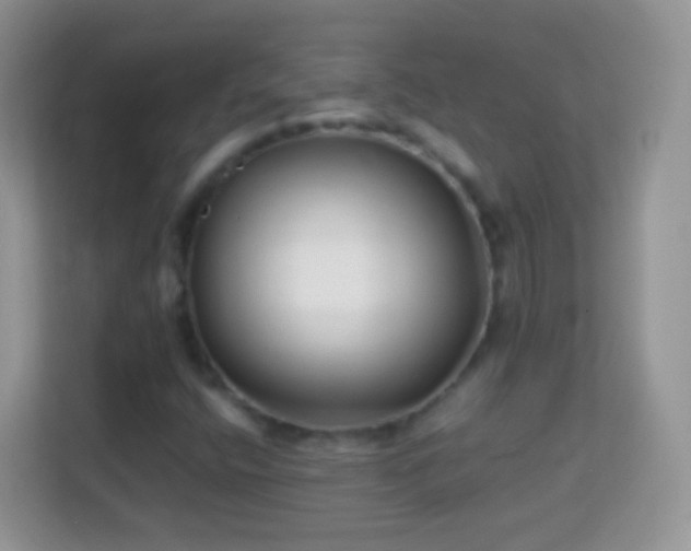 X0000113991400200910091329