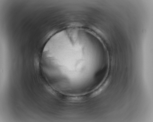 X0000113991401200910091329