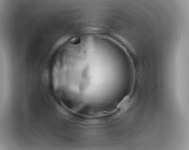 X0000113991402200910091329