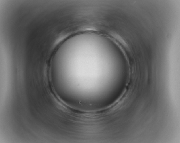 X0000113991404200910091329