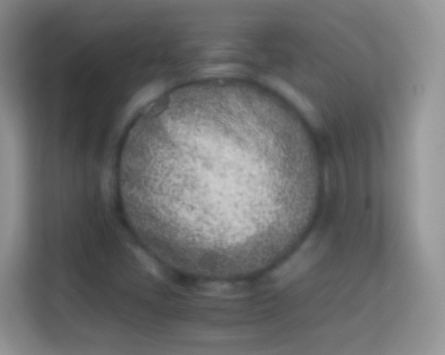 X0000113991405200910091329