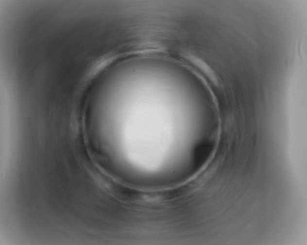 X0000113991407200910091329