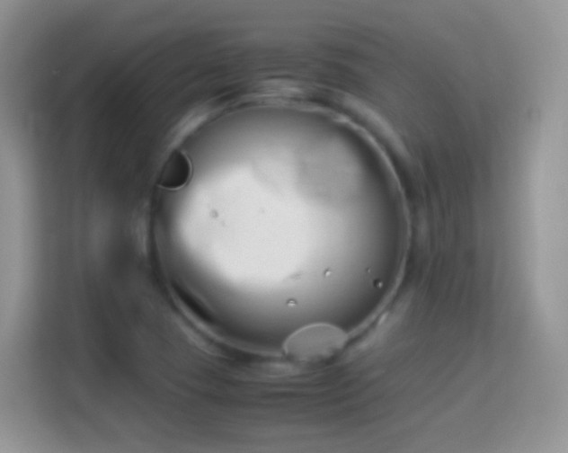 X0000113991409200910091329