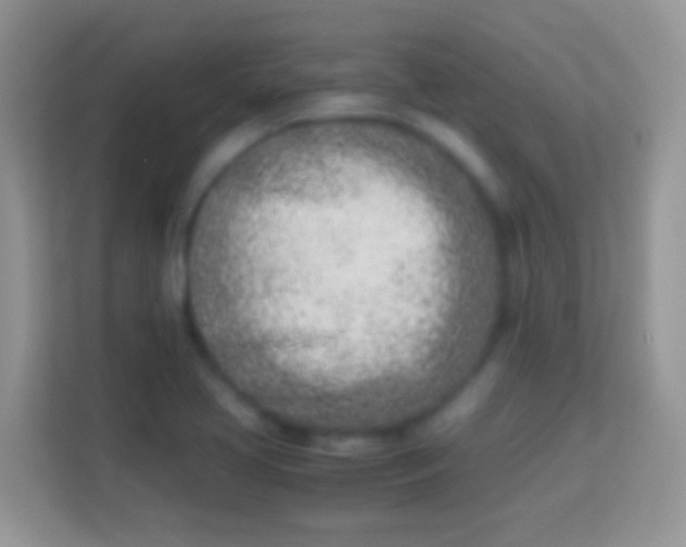 X0000113991413200910091329