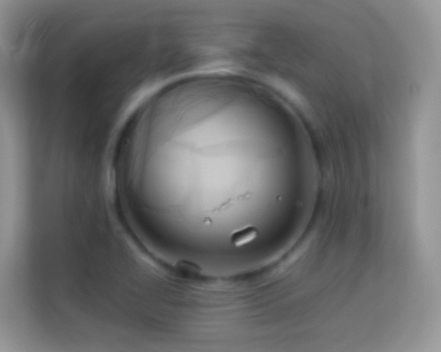 X0000113991414200910091329