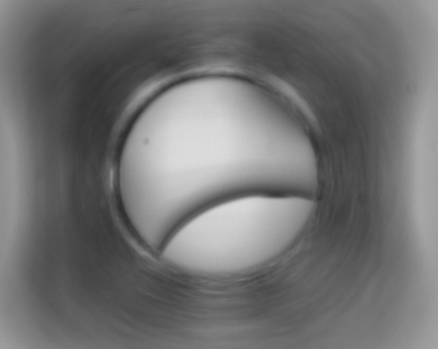 X0000113991416200910091329