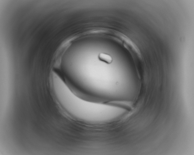 X0000113991417200910091329