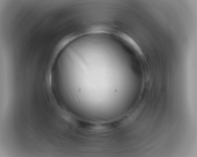 X0000113991419200910091329