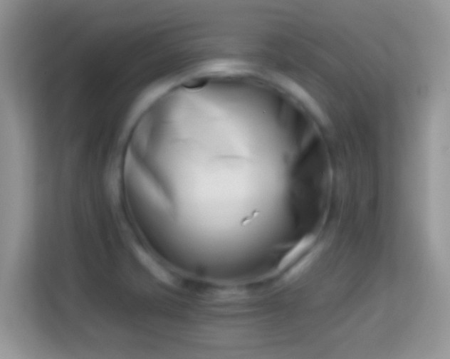 X0000113991421200910091329