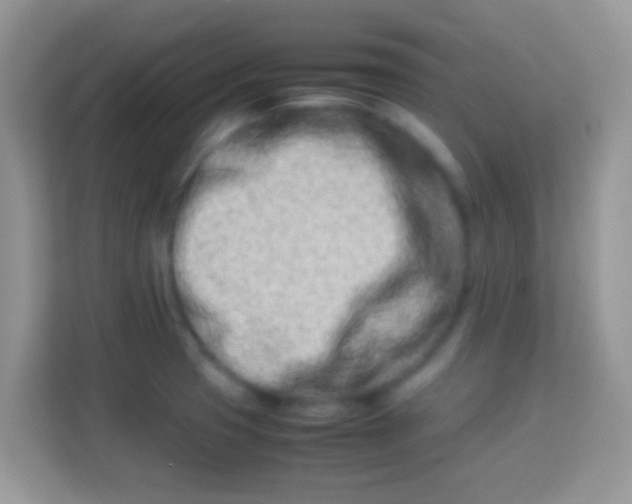 X0000113991425200910091329