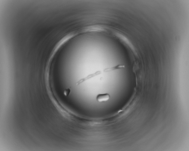 X0000113991426200910091329