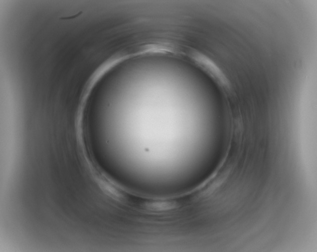 X0000113991427200910091329