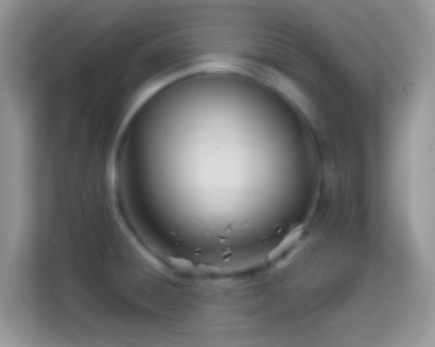 X0000113991428200910091329