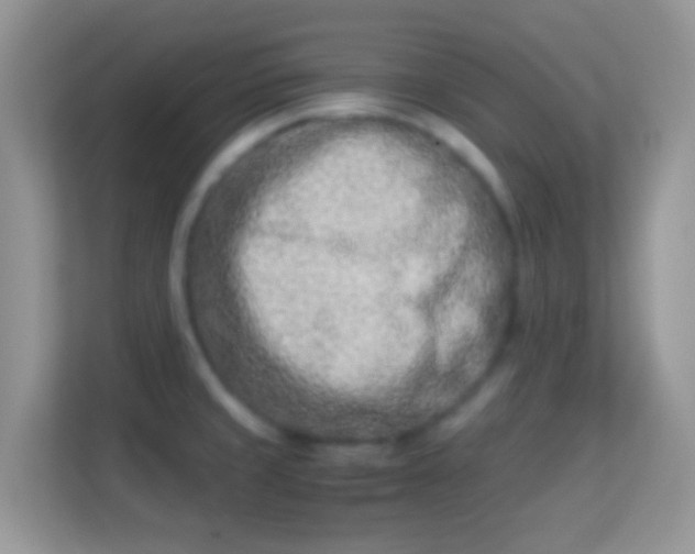 X0000113991429200910091329