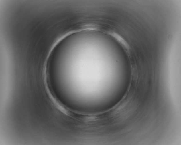 X0000113991431200910091329