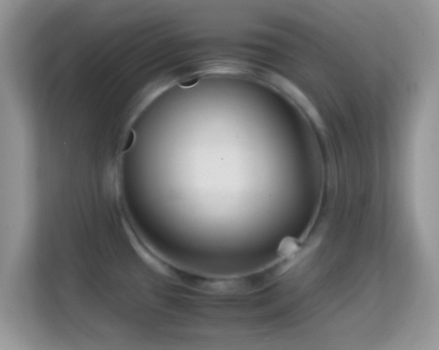 X0000113991433200910091329