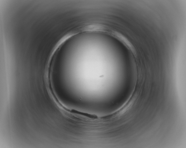 X0000113991434200910091329