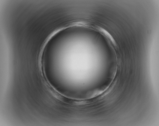 X0000113991435200910091329