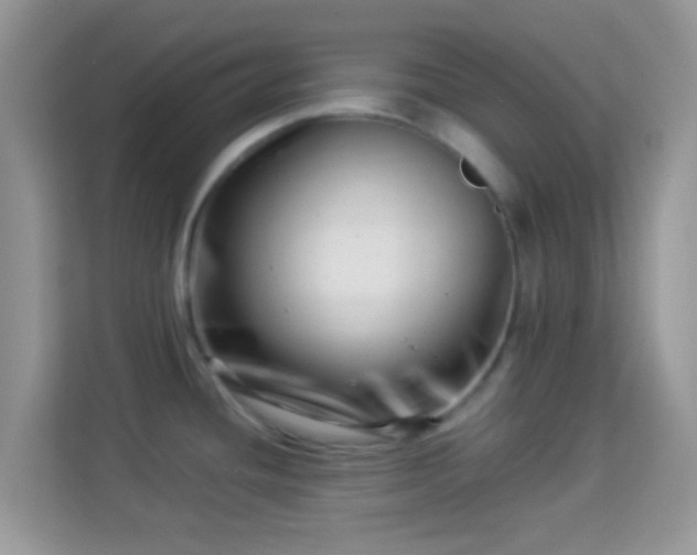 X0000113991436200910091329