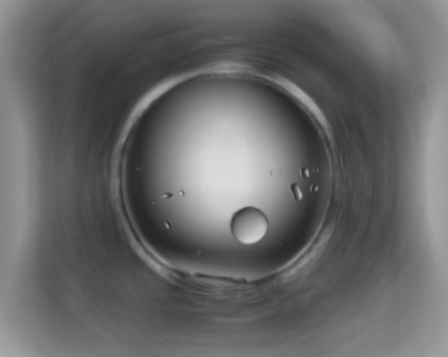 X0000113991437200910091329