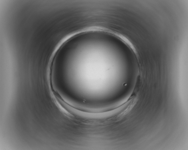 X0000113991438200910091329