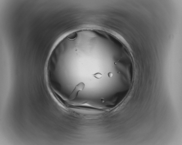 X0000113991440200910091329