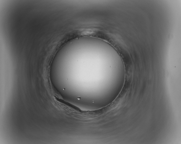 X0000113991441200910091329