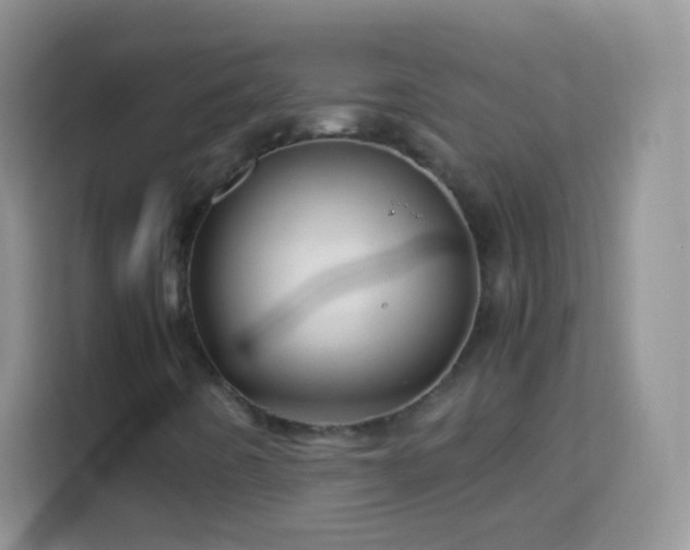 X0000113991442200910091329