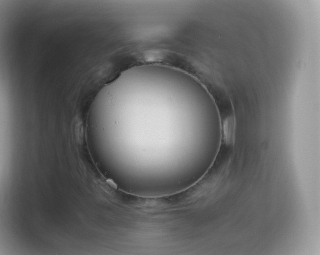 X0000113991443200910091329