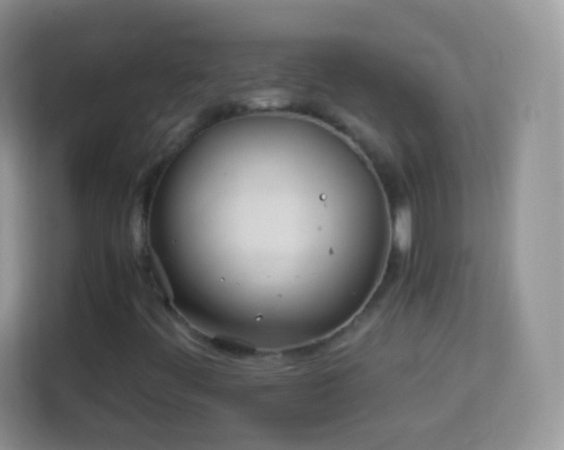 X0000113991444200910091329