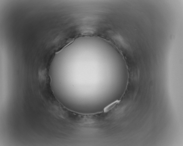 X0000113991445200910091328