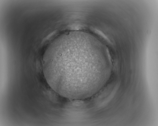 X0000113991446200910091328