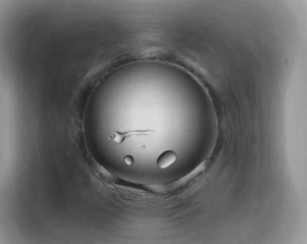 X0000113991447200910091328