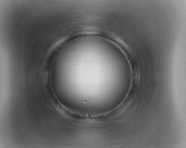 X0000113991448200910091328