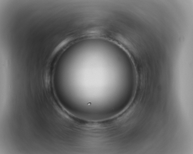 X0000113991450200910091328