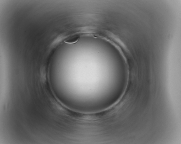 X0000113991451200910091328